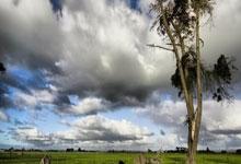 非凡娱乐:姆巴佩和莱万先后梅开二度,莱万依然在射手榜上领先三球.