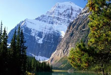 樊振东回忆巴黎奥运:最惊险的一场球是对阵张本智和九派新闻.