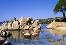 非凡娱乐:伊泽斯经纪人:我们正在与国米接触,但也在跟其他俱乐部保持联系.